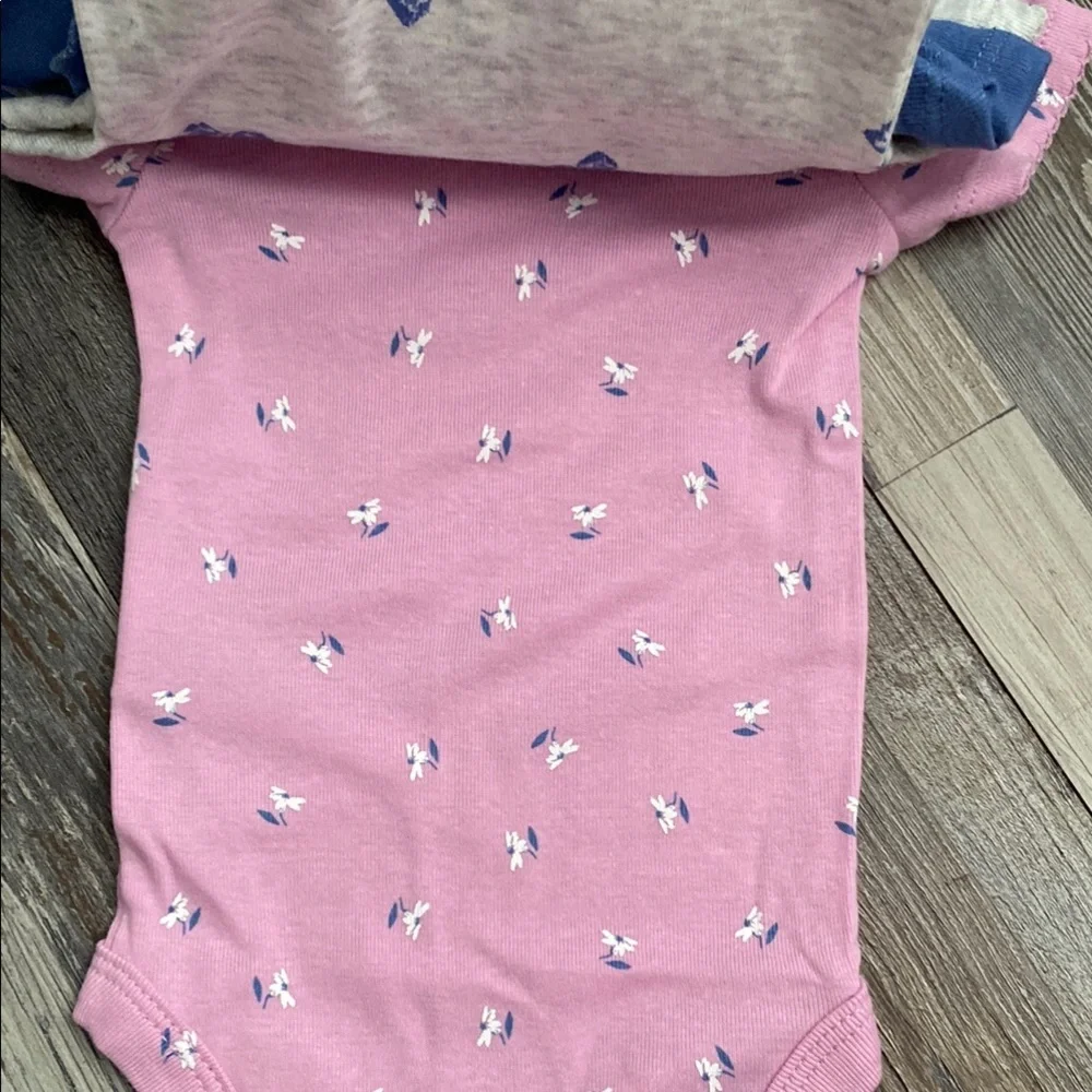 Set of 3 Carter's Blue and Pink Floral Bodysuit Set